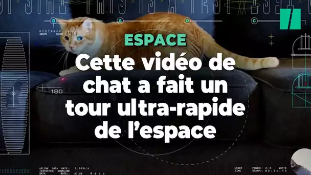 La NASA a diffusé cette vidéo de chat en haut débit depuis l’espace et c’est une révolution