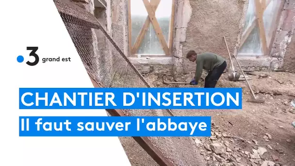 Chantier d'insertion pour sauver l'abbaye