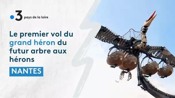 Nantes : le premier vol du grand héron du futur arbre aux hérons