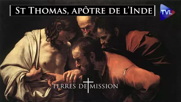 St Thomas, apôtre de l’Inde - Terres de Mission n°246 - TVL