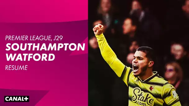 Le résumé de Southampton / Watford - Premier League - J29