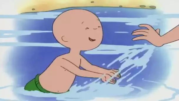 Caillou - PLUS D&#039;UNE HEURE D&#039;ÉPISODES COMPLETS | dessin animé pour enfants