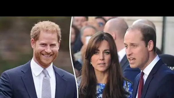 Prince William et Kate Middleton : leur surprenante stratégie face à Harry révélée