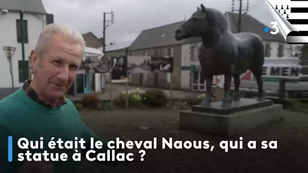 Qui était le cheval Naous, qui a sa statue à Callac ? Edition An Taol Lagad du 4 juin 2024