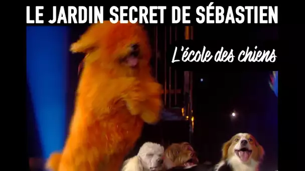 Le jardin secret de Sébastien - L&#039;école des chiens - Ep10