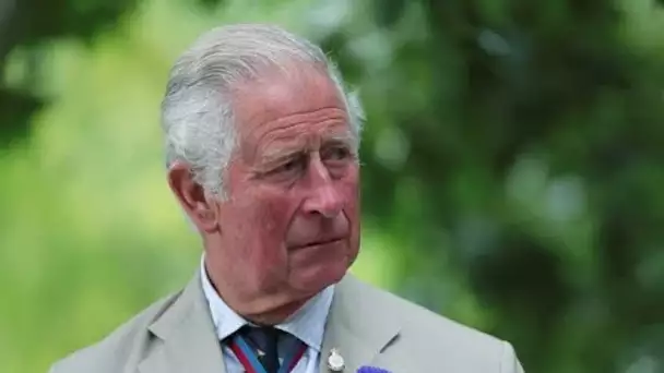 Je ne suis pas stupide  : la réponse du prince Charles interrogé sur son futur règne
