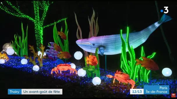 Les illuminations du Zoo de Thoiry