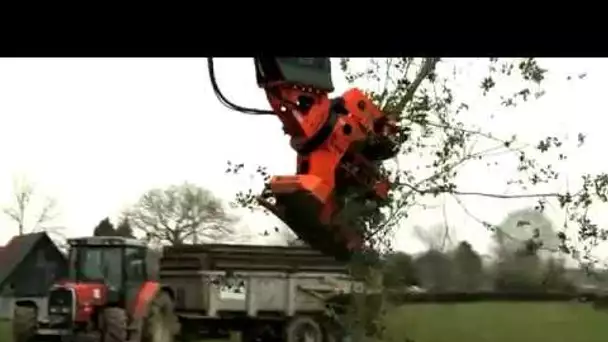 Exploiter les haies pour produire de l&#039;énergie et préserver le paysage