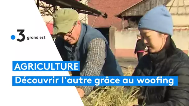 Le woofing en Alsace