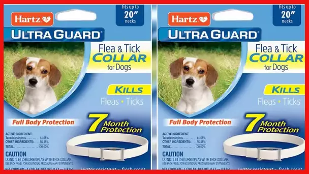 Hartz UltraGuard Flea & Tick Collar for Dogs and Puppies, 7 Month Flea and Tick Protection
