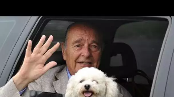 L’histoire rocambolesque de Sumette, le chien de Bernadette et Jacques Chirac