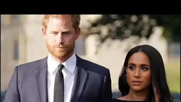 Le prince Harry dénonce l'allégation SAS "totalement absurde" à propos de Meghan Markle