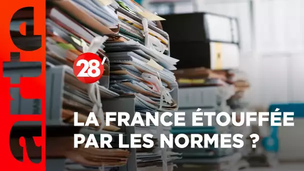 Agriculture, commerce, logement… : la France est-elle étouffée par les normes ? - 28 Minutes - ARTE