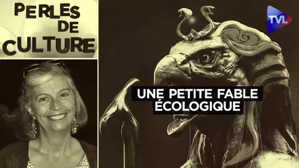 Une petite fable écologique qui remet les hommes en place - Perles de Culture n°331 - TVL