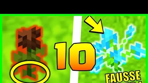 10 SECRETS *100% INCONNUS* SUR LES FLEURS MINECRAFT 1.17