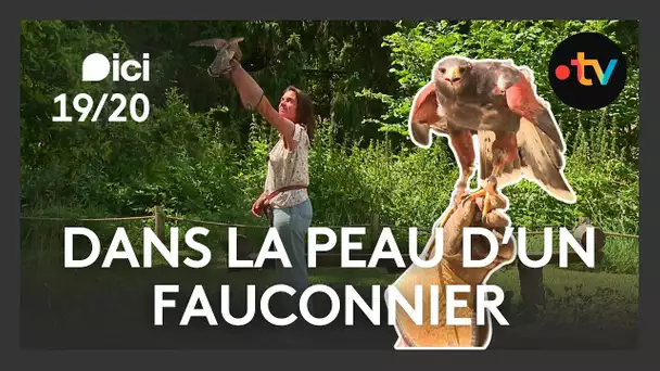 J'ai testé le métier de fauconnier