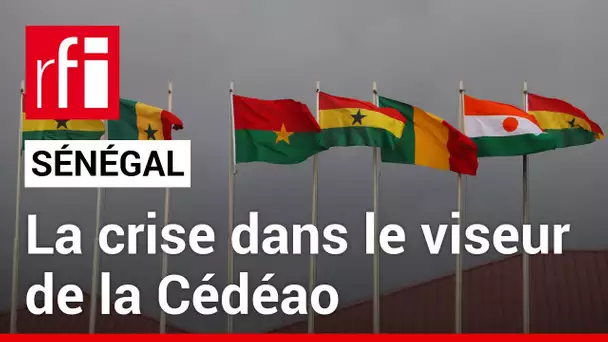 Sénégal : la crise politique dans le viseur de la Cédéao • RFI