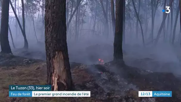 Gironde : 300 hectares de forêt détruits dans un incendie au Tuzan
