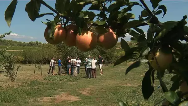 Gestion des cours d'eau et agriculteurs : la discussion s'organise à Caune-Minervois