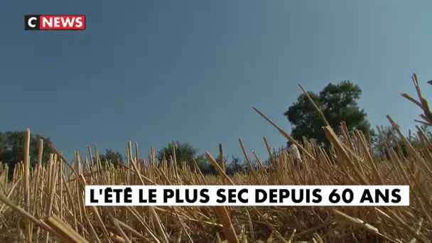 L'été le plus sec depuis 60 ans