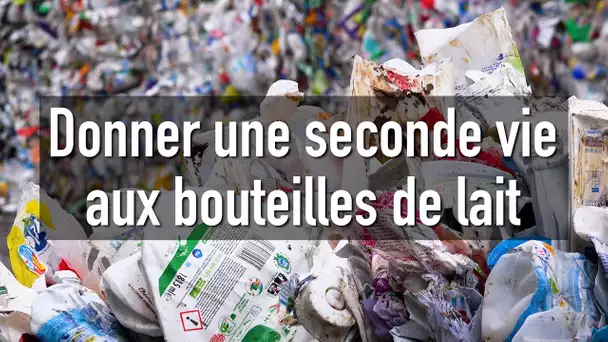 Recyclage du plastique : “Il y a encore dix ans c’était tabou de parler de matière recyclée”