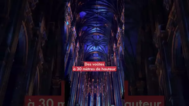 Plongée lumineuse à l'église Saint-Eustache