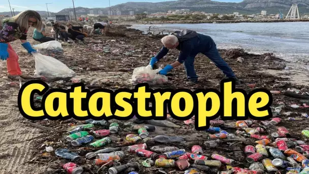 Marseille :des plages tristement couvertes de déchets après les inondations et la grève des éboueurs