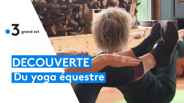 Du yoga équestre au Champ du feu