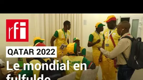 Qatar 2022 : le mondial en fulfulde Le JDB # 8 • RFI