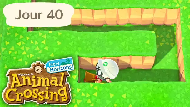 Jour 40 | Terraforming du fond de l'île ! | Animal Crossing : New Horizons