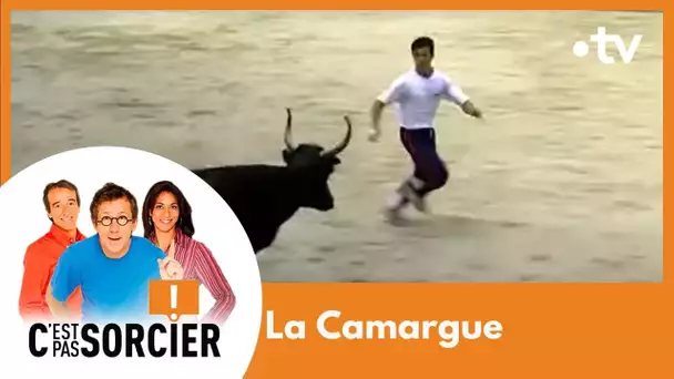 La Camargue - C'est pas sorcier [Intégrale]