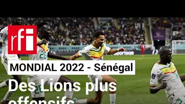 Mondial 2022 : les Lions de la Teranga, une équipe plus offensive • RFI