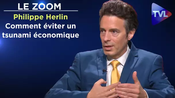 Comment éviter un tsunami économique - Le Zoom - Philippe Herlin - TVL