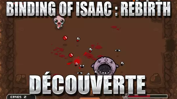 Binding of Isaac Rebirth : Découverte