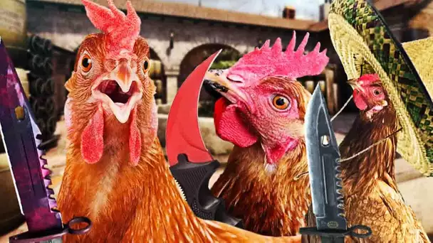 LA RÉVOLUTION DES POULETS ! CS:GO