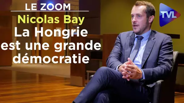 "La Hongrie est une grande démocratie" - Le Zoom - Nicolas Bay - TVL