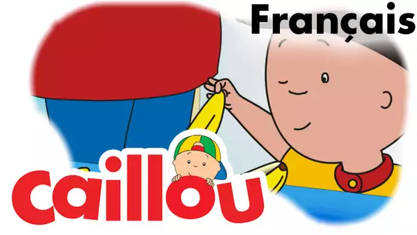 Caillou FRANÇAIS - Caillou sait composter (S05E14) | conte pour enfant | Caillou en Français