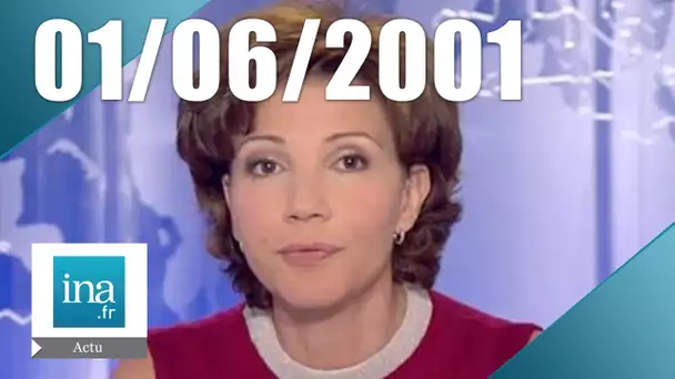 20H France 2 du 1er juin 2001 - Suicide d'un instituteur accusé de pédophilie | Archive INA