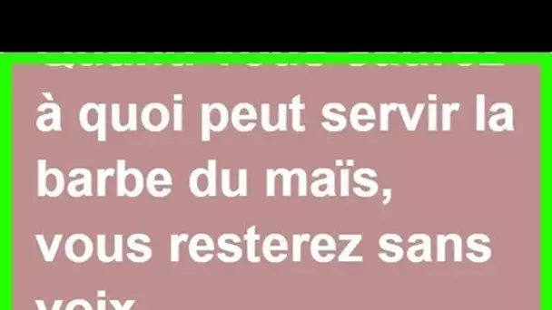 Elle prend la barbe de maïs et la mélange avec CECI… Comment j’ai pu ignorer cette astuce !