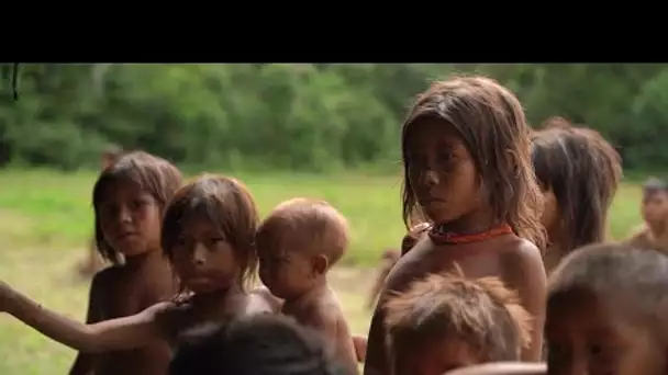 Dans la forêt amazonienne, les Indiens Yanomami victimes de la ruée vers l’or