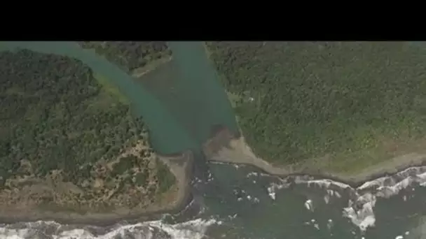 Costa Rica : embouchure d'une rivière dans la mangrove