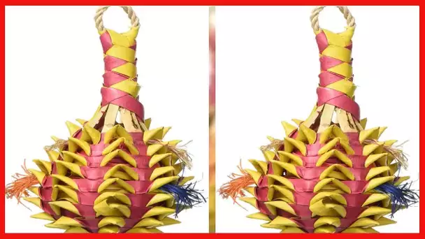 Planet Pleasures Pineapple Foraging Toy, Small