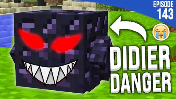 DIDIER A REÇU UN MESSAGE FLIPPANT ! | Minecraft Moddé S4 | Episode 143