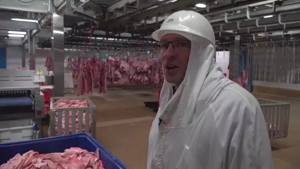La gélatine animale, un secret mis à jour