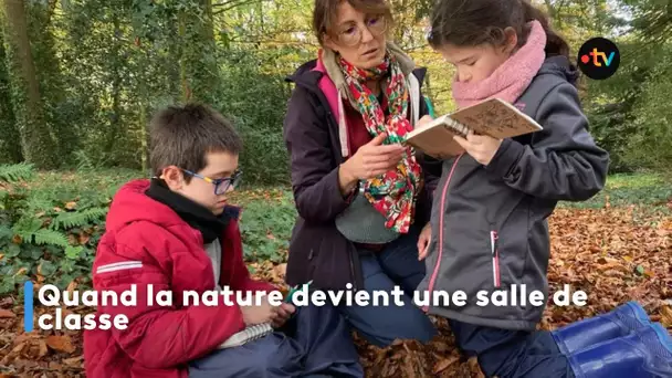 Quand la nature devient une salle de classe