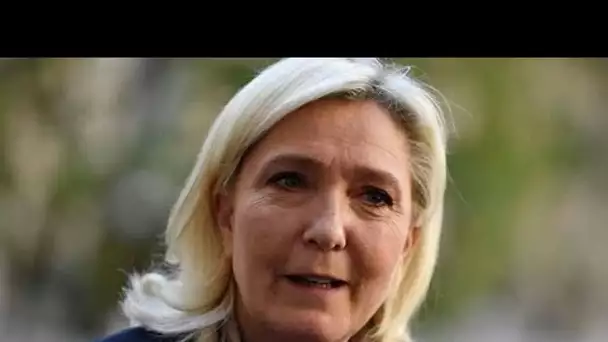 Marine Le Pen sur TikTok, son sosie voilé lui vole la vedette