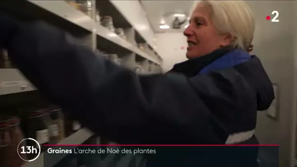 L'arche de Noé des plantes