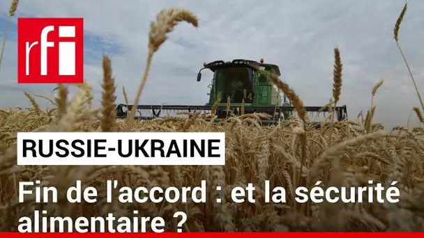 Ukraine-Russie : fin de l’accord, quelles conséquences sur la sécurité alimentaire mondiale ? • RFI