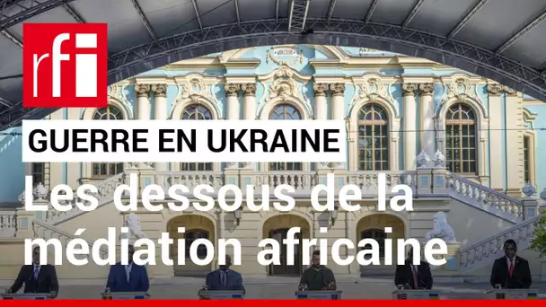 Guerre en Ukraine : quel intérêt ces chefs d’État avaient-ils à endosser le rôle de médiateur ? •RFI