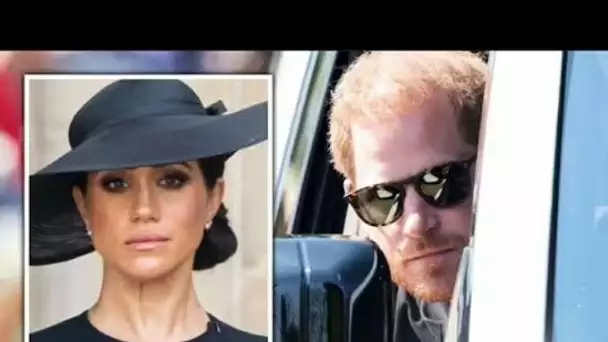 Meghan Markle "aurait dû avertir" le prince Harry du risque de visa pour consommation de drogue